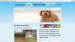 Juma Carpet Care